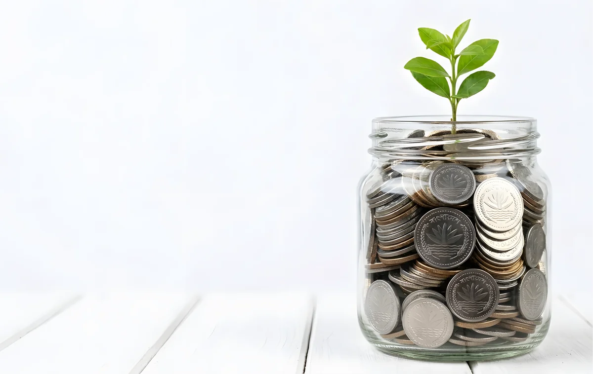 IPO Application